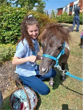 a pony at the summer festival 2025 with a member of staff