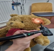 Teddy having a light held to its ears so inside can be seen clearly
