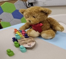 Teddy plays with one of the toys