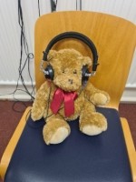 Teddy wearing headphones over its ears