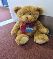 Teddy has a sticker on its chest