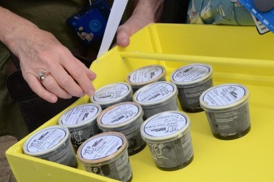 Image shows tubs of ice cream