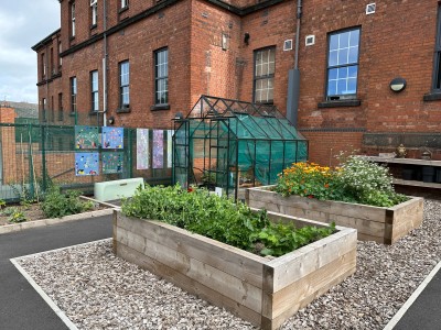 St George's allotment.jpg